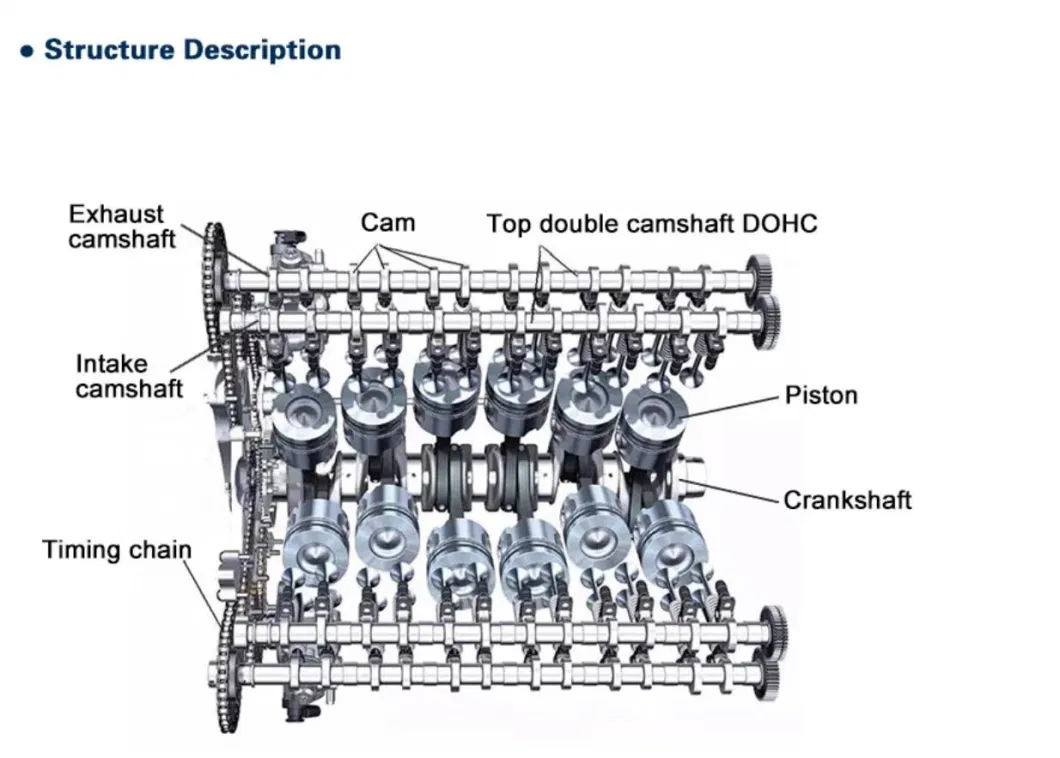 Original 3066882 3062076 3348374 4913963 Camshaft 3688242 4937785 4b 6b M11 Nt855 K19 K38 4912007 4999792 for Cummins